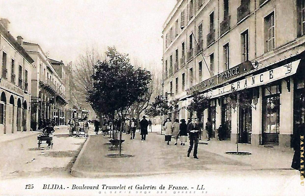 2954- Blida - Boulevard Trumelet  et Galeries de France.jpg
